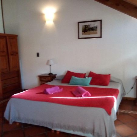 Apartmán Departamento En Apart Pequena Comarca San Martín de los Andes Exteriér fotografie